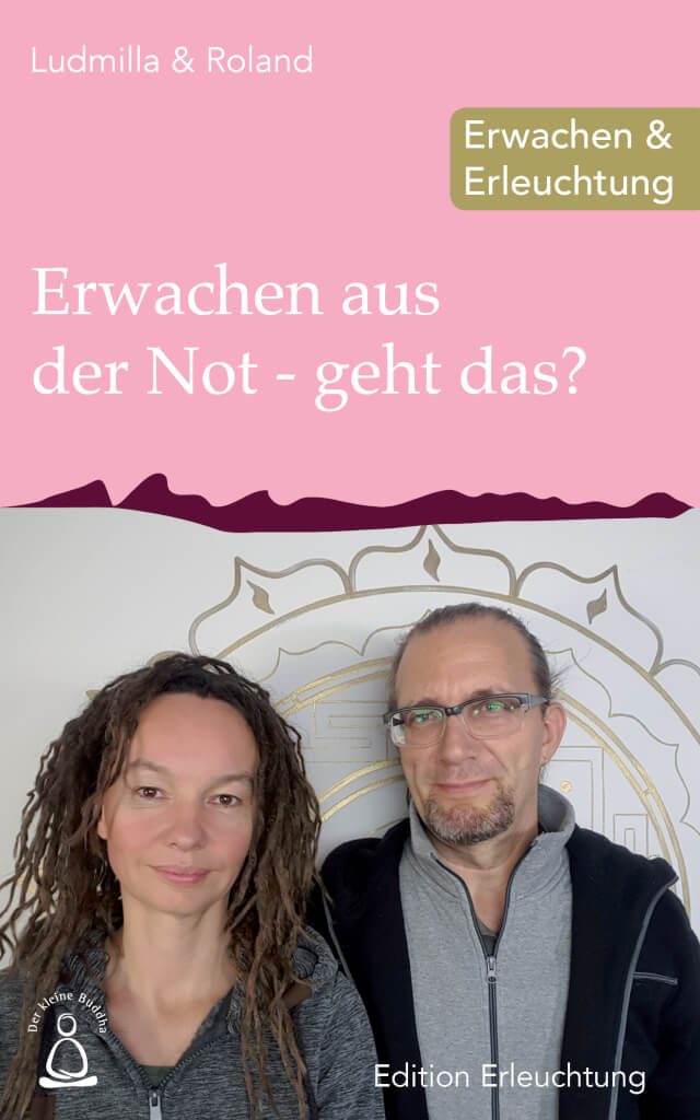 Cover: Erwachen aus der Not
