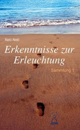 Cover: Erkenntnisse zur Erleuchtung