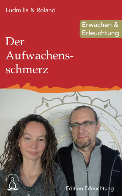 Cover: Der Aufwachensschmerz