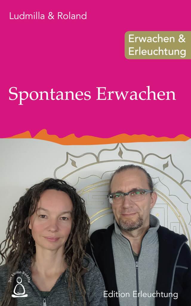 Cover: Spontanes Erwachen